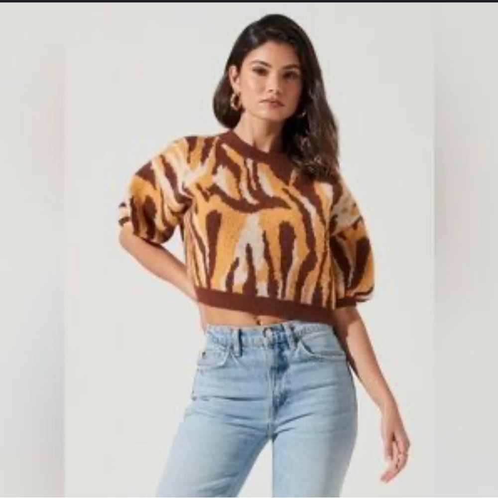 Astr Brown and Tan Sweater